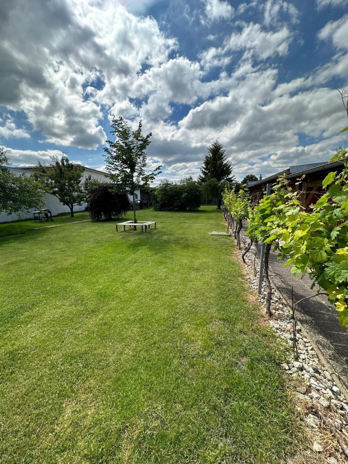Apartman Lipa Mikulov Buitenkant foto