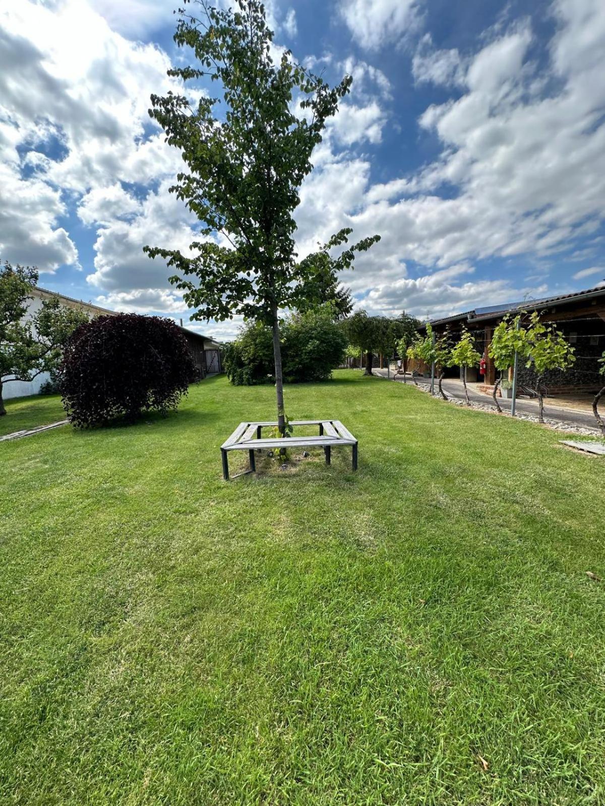 Apartman Lipa Mikulov Buitenkant foto