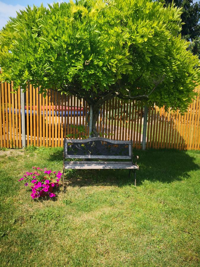 Apartman Lipa Mikulov Buitenkant foto
